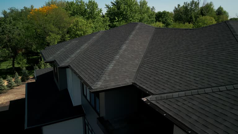 Best Solar Panel Roofing Installation  in Hales Corners, WI